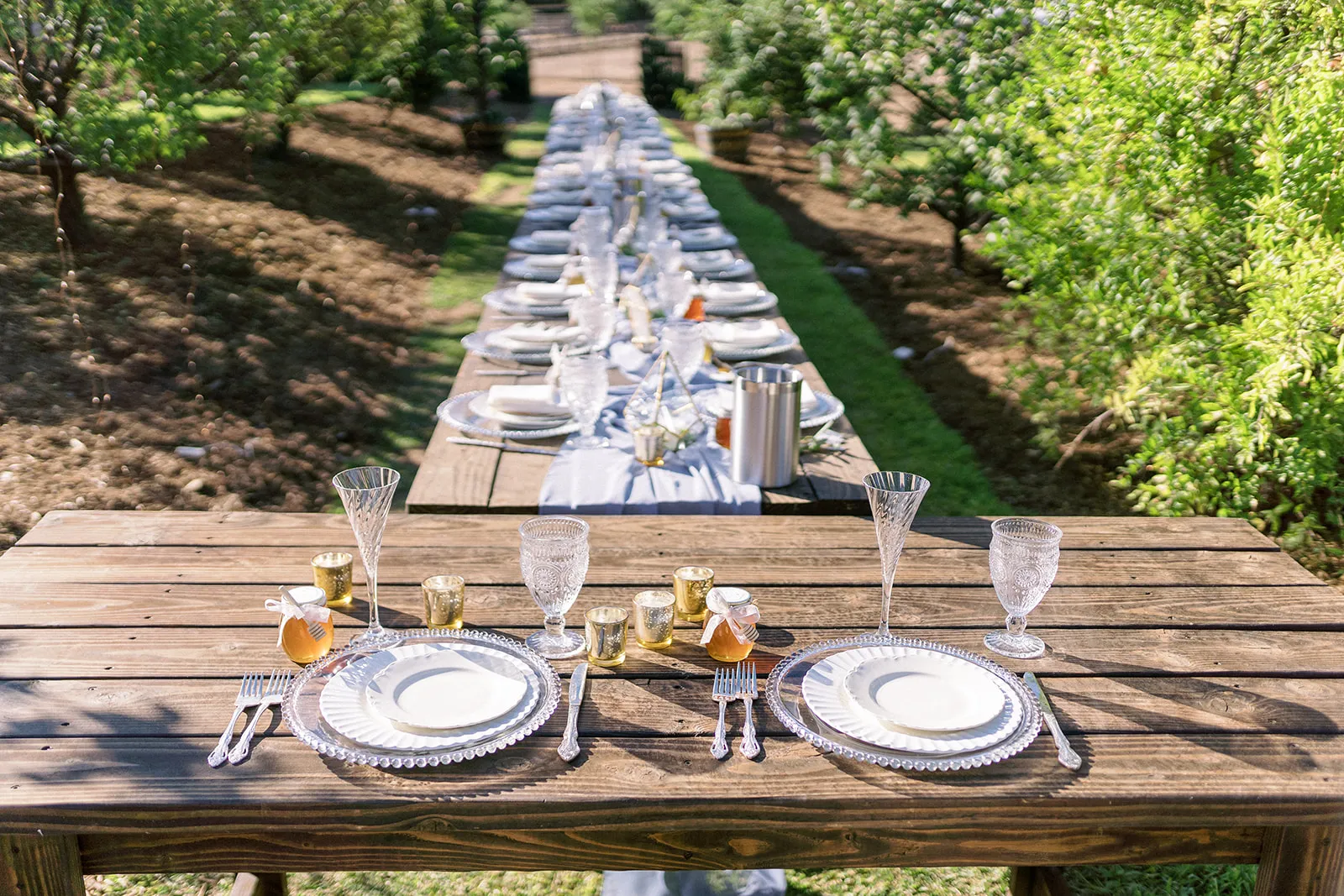 Long reception table set in a Temecula vineyard