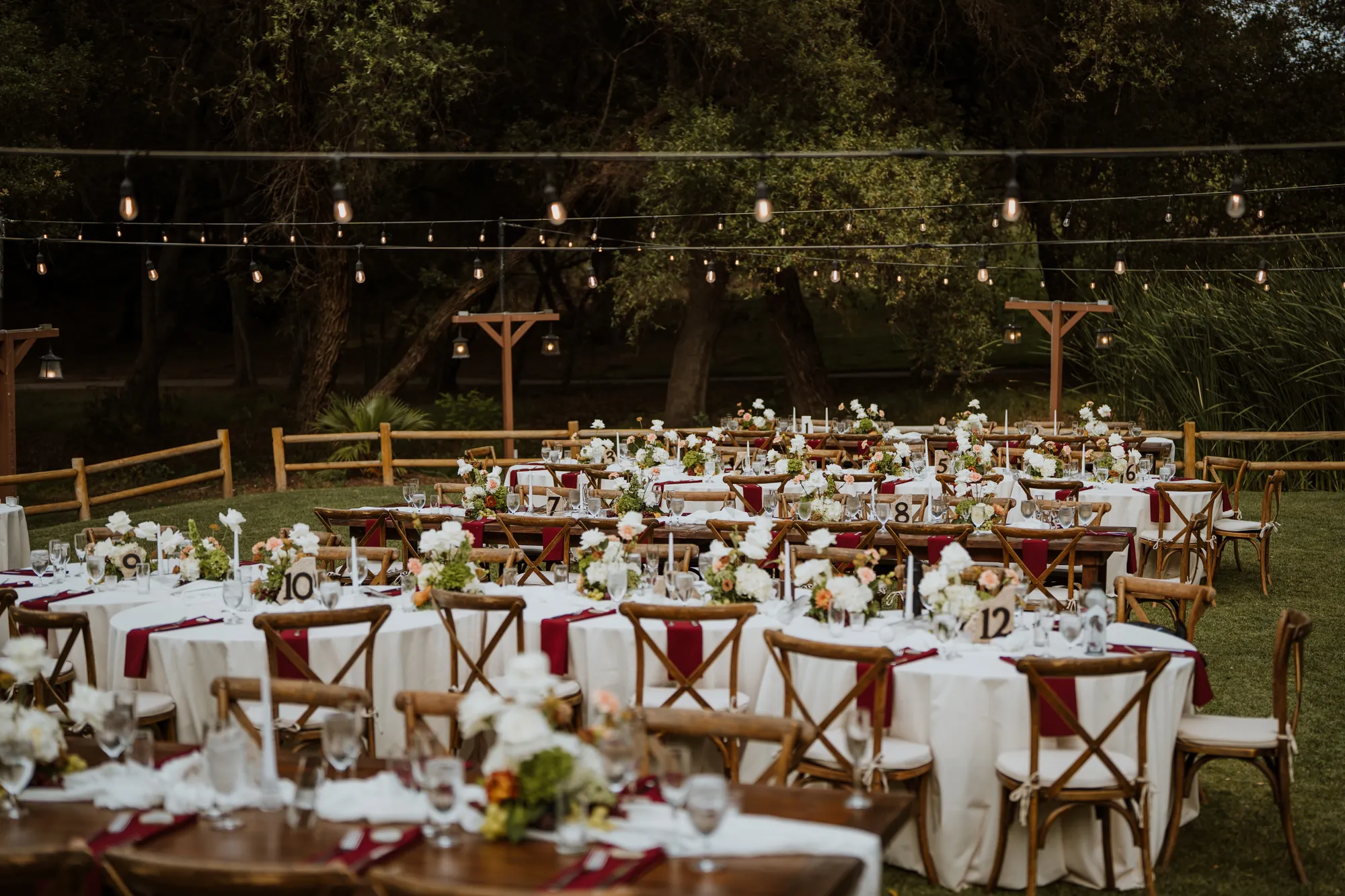 Vineyard wedding reception
